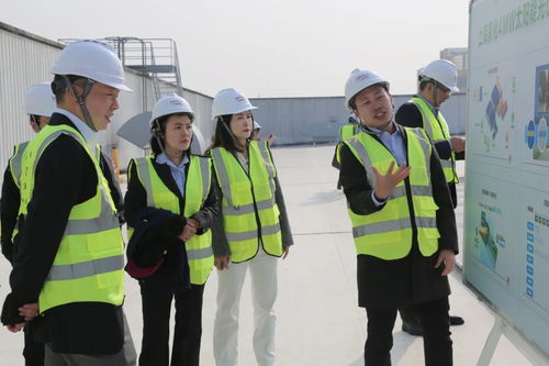點亮綠色未來 上海家化跨越工廠正式啟用太陽能光伏發(fā)電